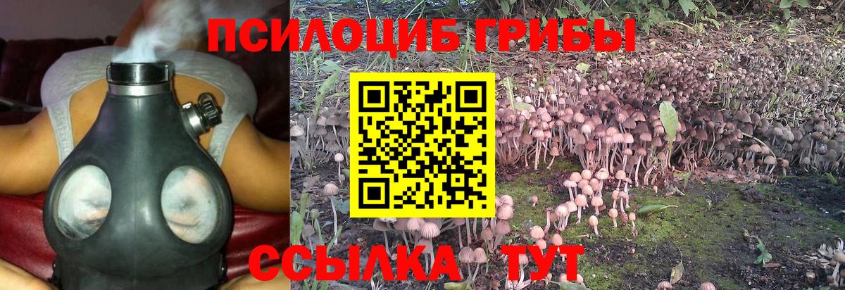 Псилоцибиновые грибы ЛСД  Вход с VPN  Тамбов 